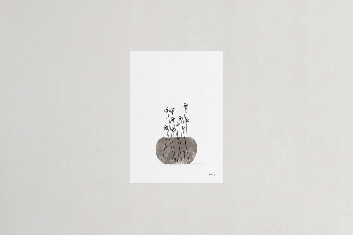 Daisies botanical art print, Herbário by RIMA lab