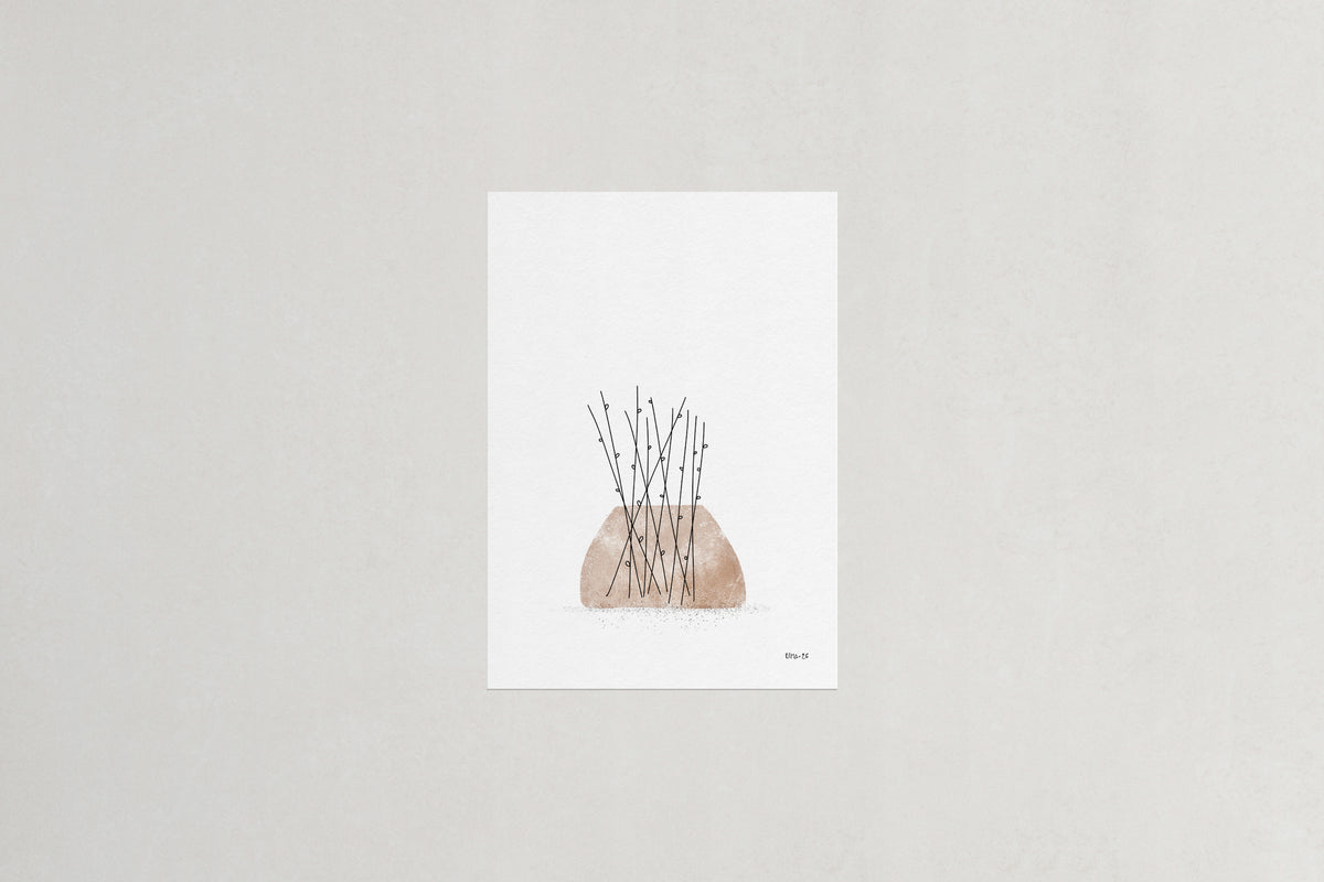 Willow botanical art print, Herbário by RIMA lab