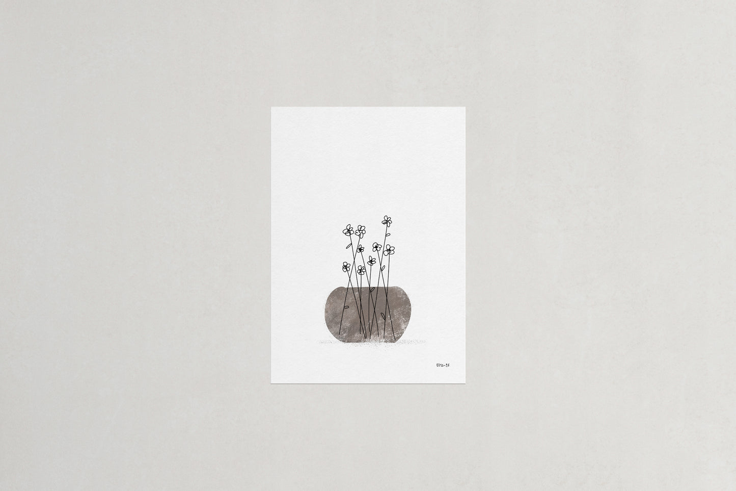 Daisies botanical art print, Herbário by RIMA lab