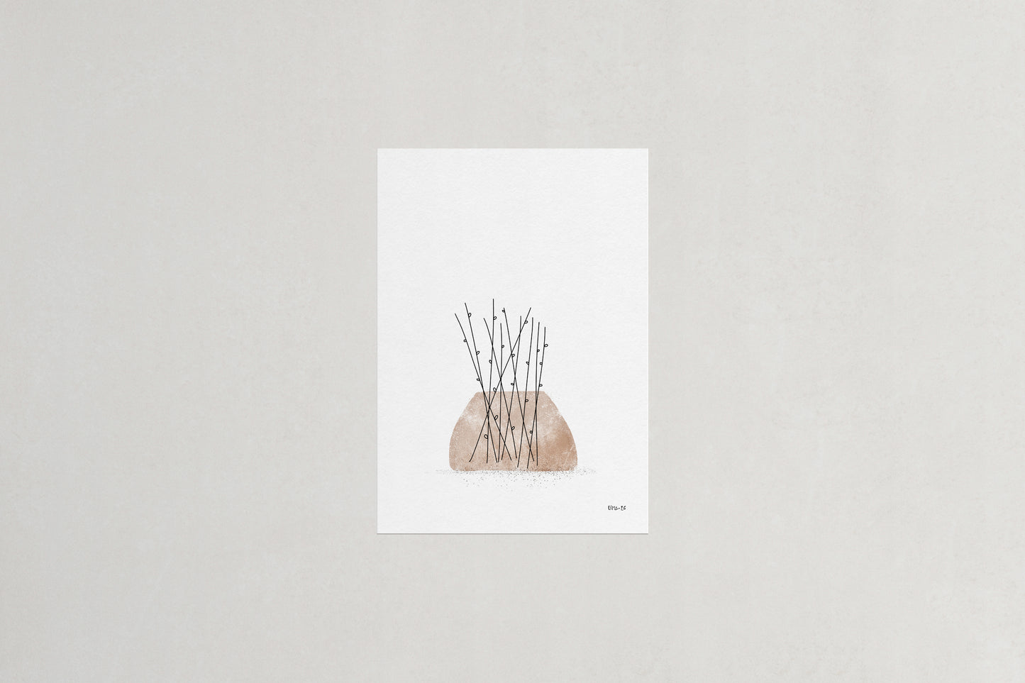 Willow botanical art print, Herbário by RIMA lab