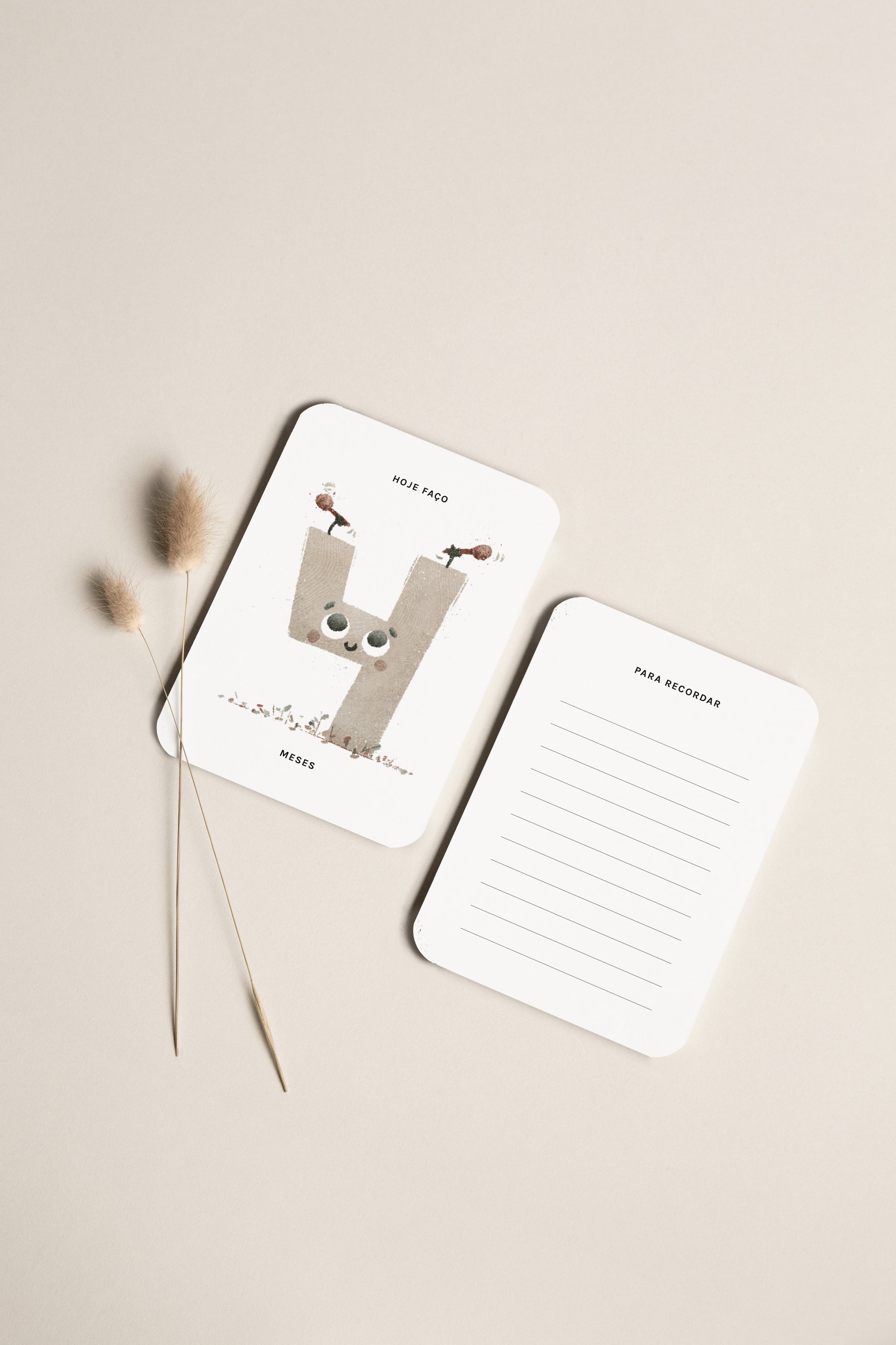 Milestone cards fabric pouch and cards, RIMA lab